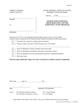 Fillable North Carolina 21 Template
