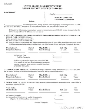 Fillable North Carolina 91C Template