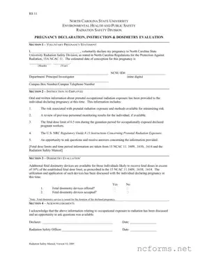 Fillable North Carolina Rs 11 Template